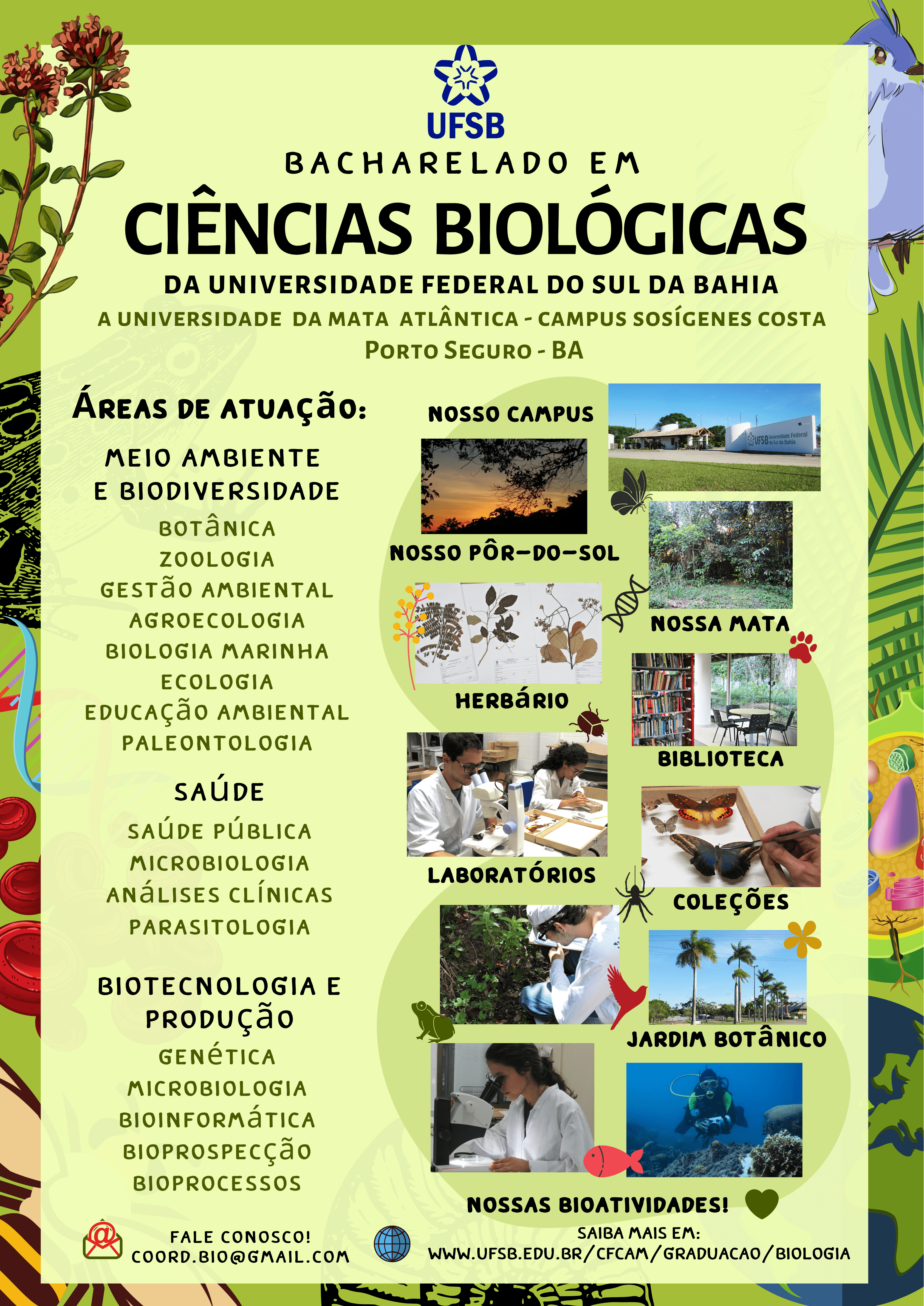 Áreas de atuação 1