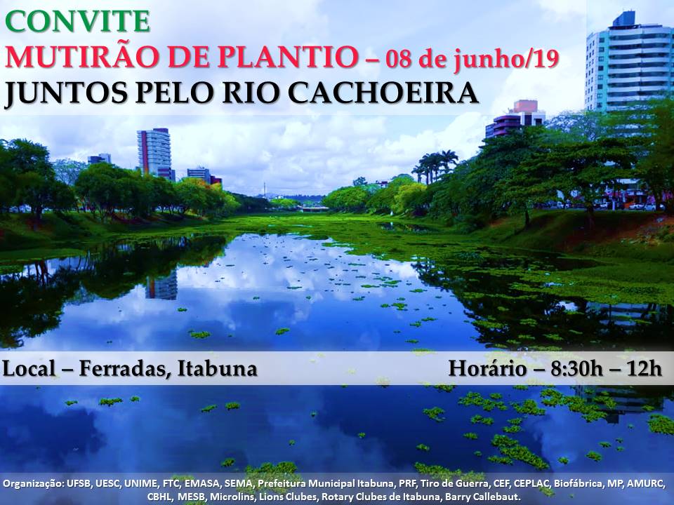 MUTIRAO 08 06 2019