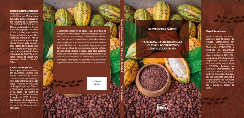 capa livro
