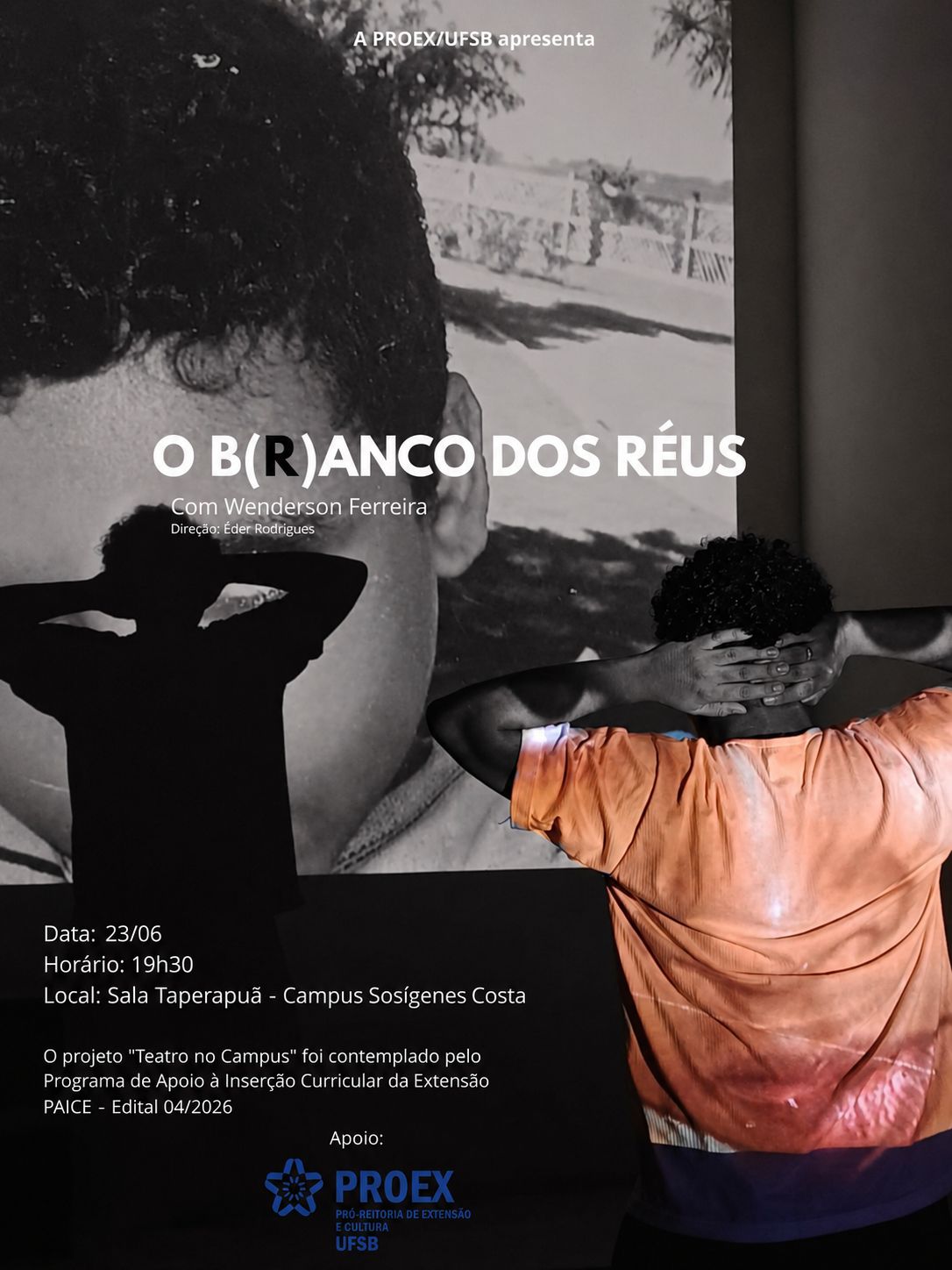 Cartaz de divulgação PROEX