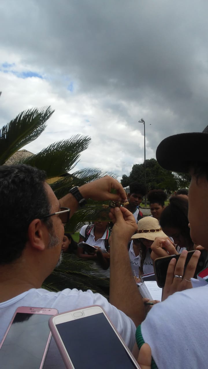 O professor Jorge Costa explicando sobre os óvulos e sementes das Cycas. Foto da estudante da UFSB Lívia Reis