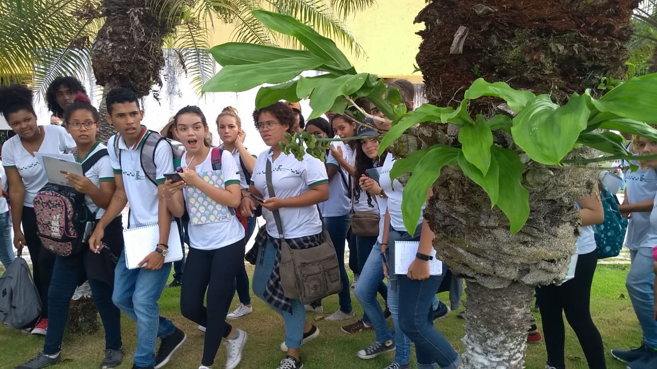 Estudantes surpreendidos com a visão das abelhas do gênero Euglossa visitando uma orquídea. Foto da professora Cristiana Costa