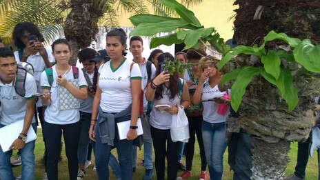 visita ifba alimentos